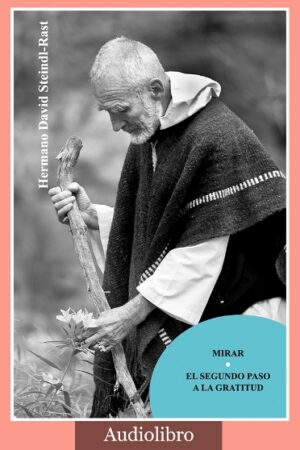 Mirar (Audiolibro)