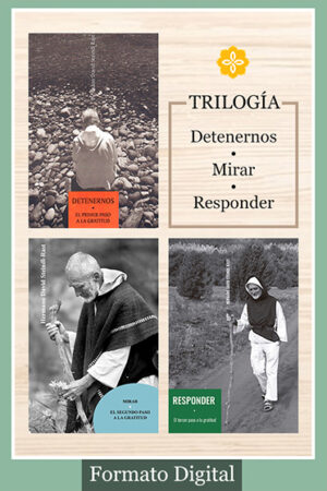 Trilogía: Detenernos-Mirar-Responder (Formato Digital)